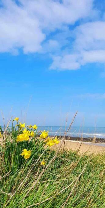 Herne Bay Central - 2 Minutes From Beach Apartment Экстерьер фото