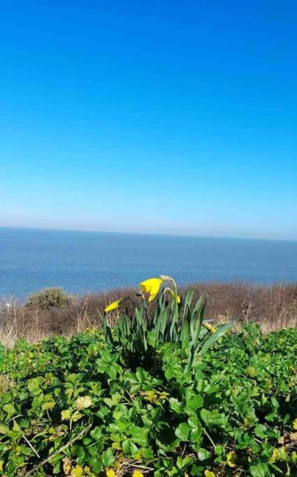 Herne Bay Central - 2 Minutes From Beach Apartment Экстерьер фото