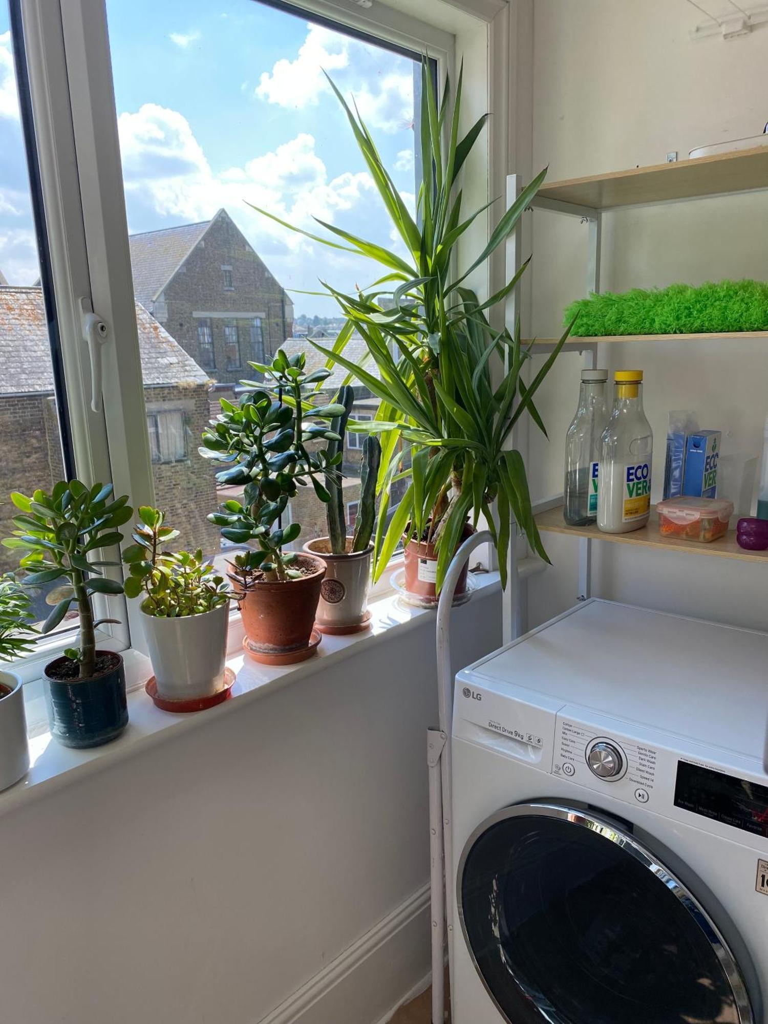 Herne Bay Central - 2 Minutes From Beach Apartment Экстерьер фото